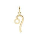Pendentif Lion Grand Modèle