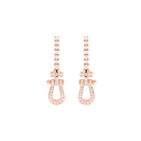 Force 10 earrings
