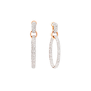 Créoles Iconica