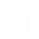 Gold Necklace
