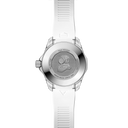 Aquaracer Professional 300 Date