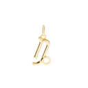 Pendentif Capricorne Petit Modèle
