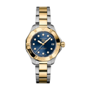 Aquaracer Professional 200 Solargraph