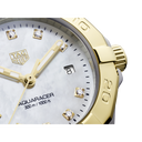 Aquaracer Date